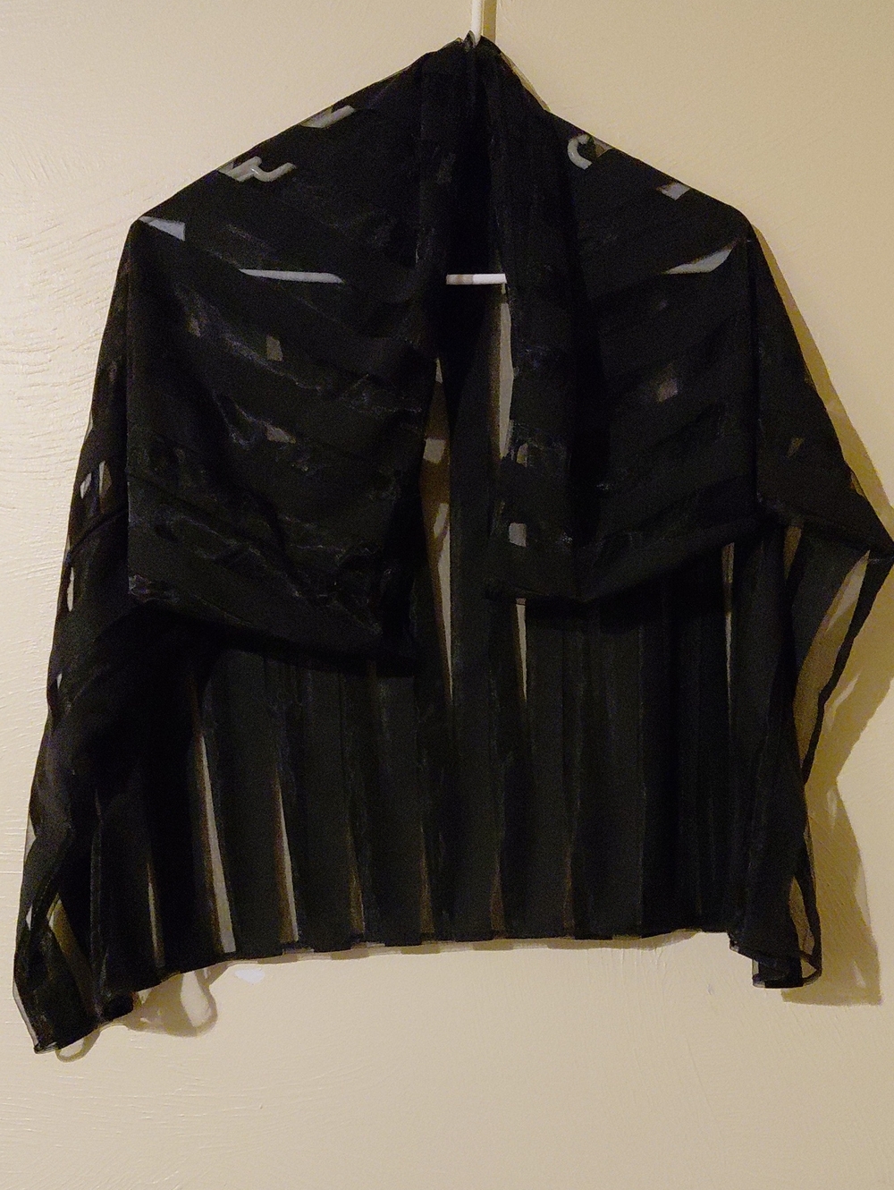 Source Unknown Black Sheer Striped Scarf Wrap